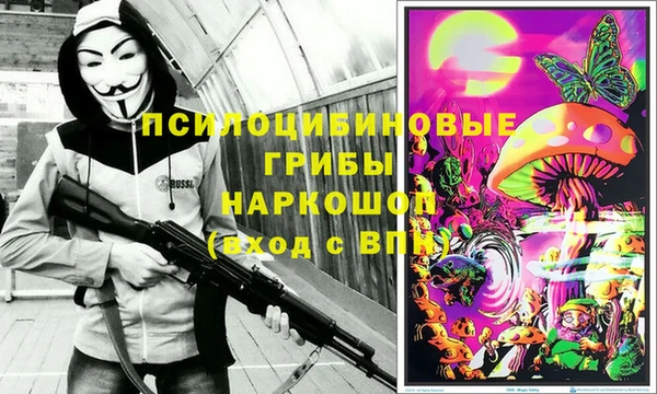 spice Аркадак