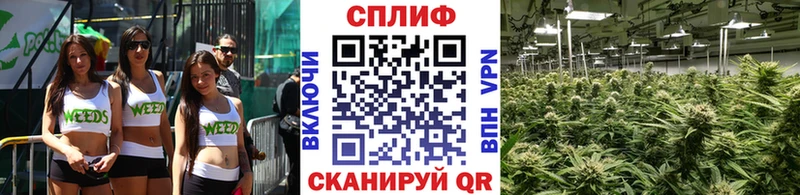 Конопля план  Сосногорск 